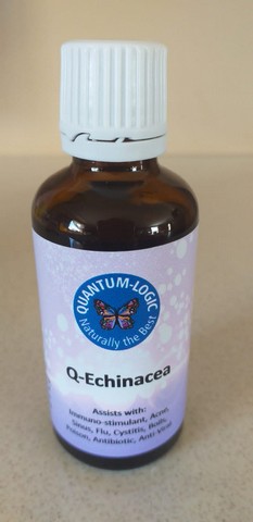 Q-Echinacea 50ml
